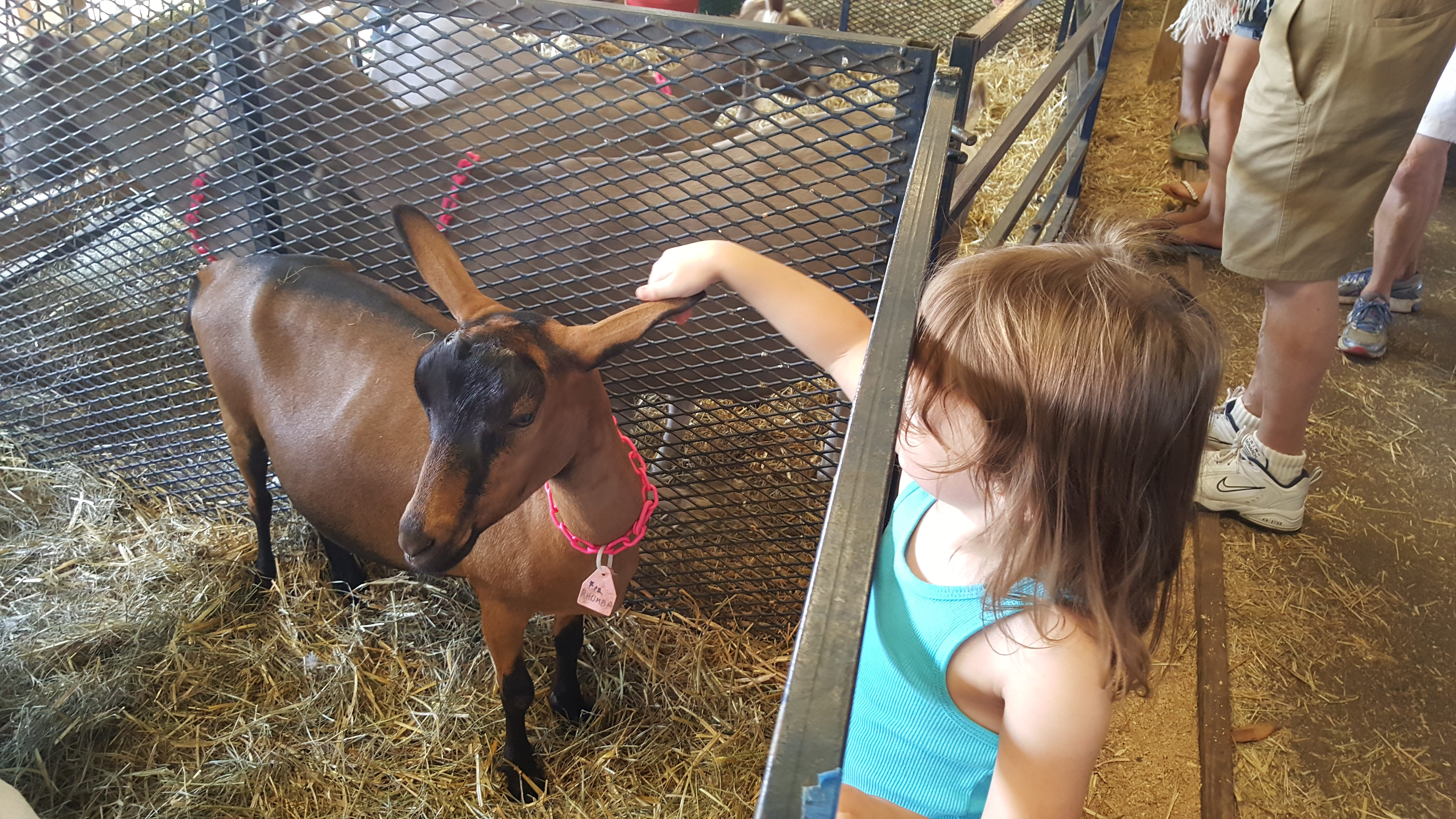 Dutchess County Fair