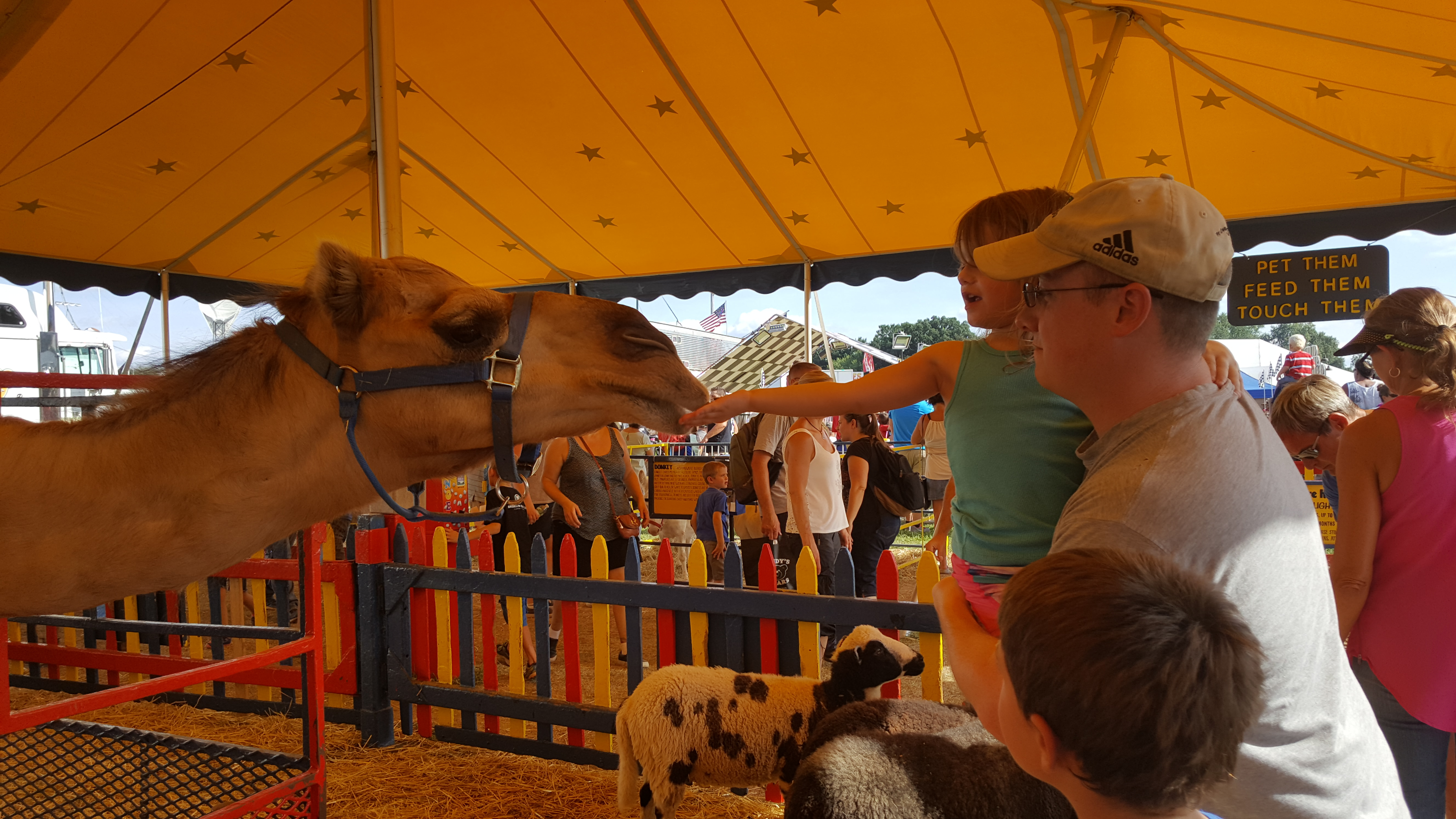 Dutchess County Fair