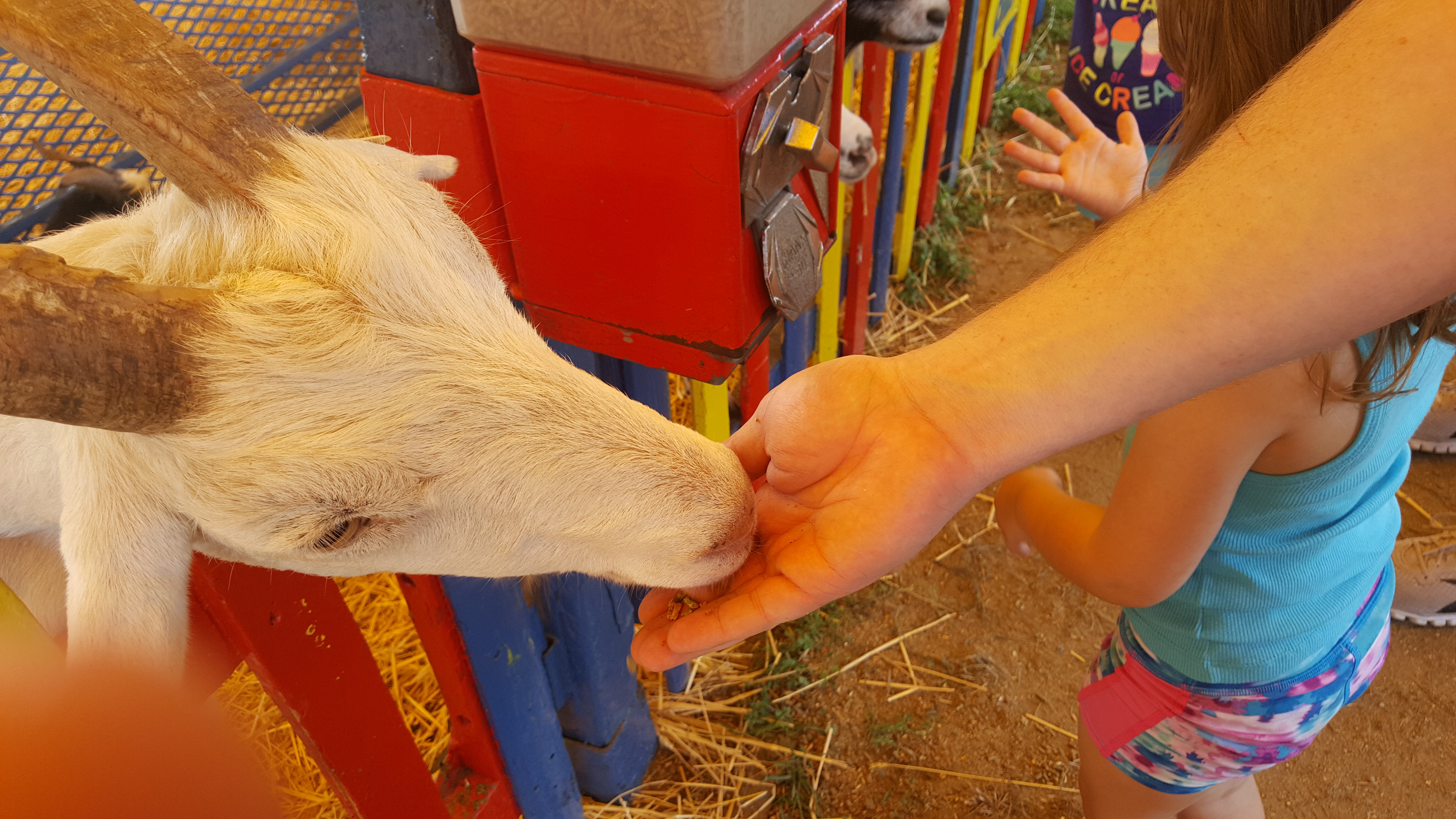 Dutchess County Fair