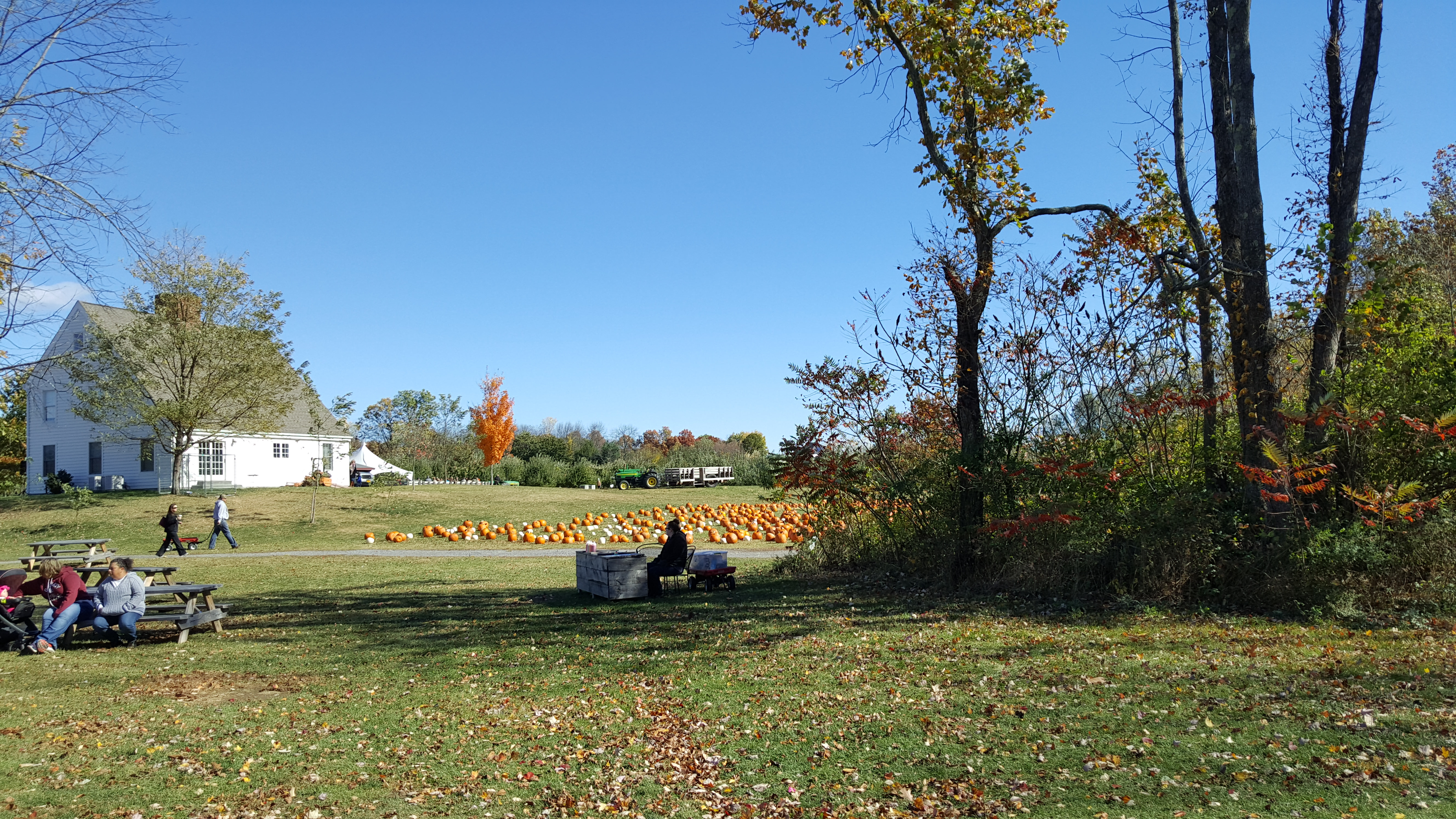 Dubois Farms